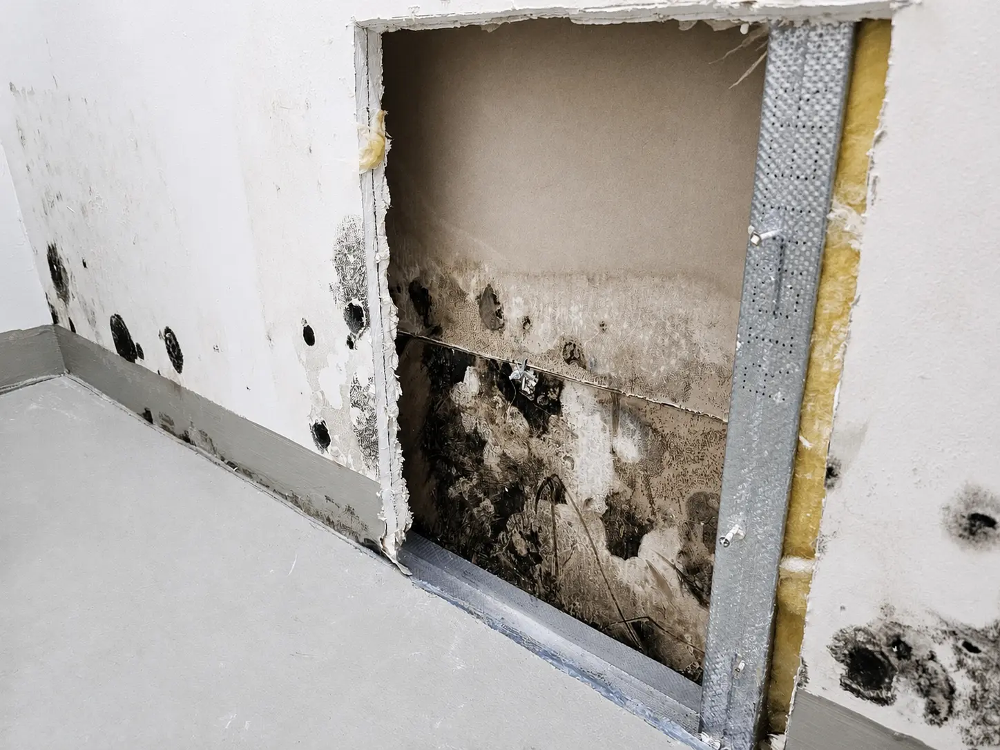 Geöffnete Trockenbauwand mit einem verdeckten Feuchte- und Schimmelschaden